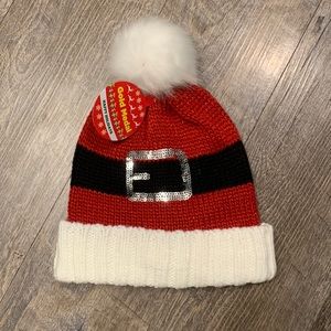 Santa winter hat